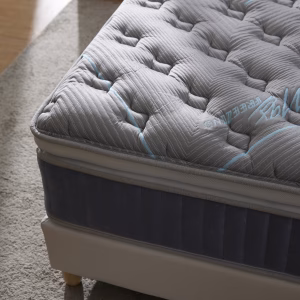 20250522 睡眠吐司4159