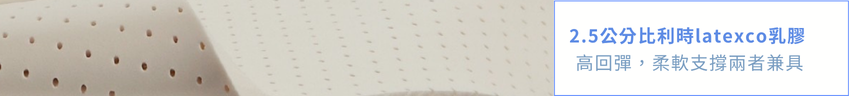 人氣招牌 經典標準床墊 (萬隆店 展示) 19 未命名設計 26