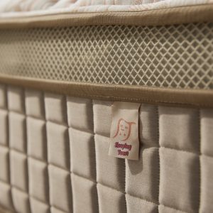 20231016 睡眠吐司0910