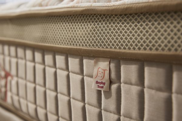 蛋白吐司 (全店 展示)：圖片 5