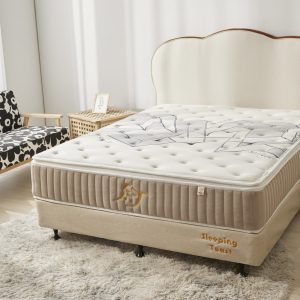 20231016 睡眠吐司0958