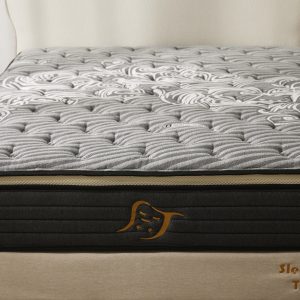 20231016 睡眠吐司0989