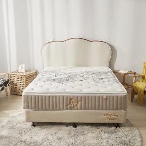 20231016 睡眠吐司0962