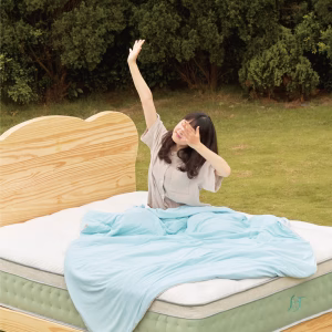 雙層獨立筒床墊